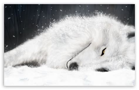 Verwandte hintergrundbilder für wolf weiß wald bäume aus der kategorie tiere hintergrundbilder. zlyakivumu: wolf wallpapers