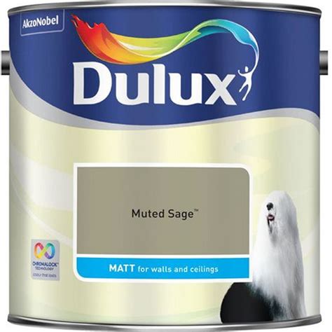 Dulux Muted Sage Matt Emulsion Paint 25l Wilko