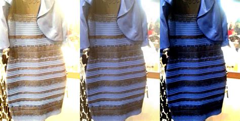The Science Of Why No One Agrees On The Color Of This Dress Wired