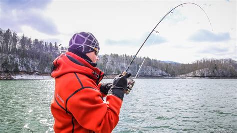 Fishing the Damiki Rig in Winter - FLW Fishing: Articles
