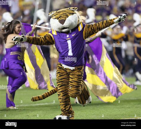 Baton Rouge Usa 19th Nov 2023 Lsu Tigers Mascot Mike The Tiger Runs
