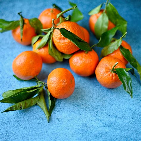 spiced clementines with clementine sorbet - The Circus Gardener's Kitchen