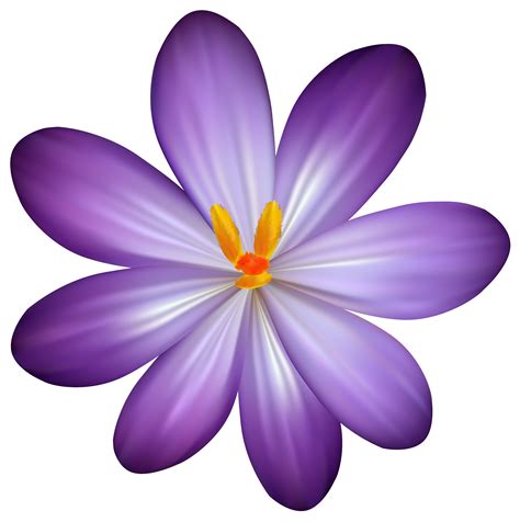 Flowers Clipart Bloom Flowers Bloom Transparent Free For