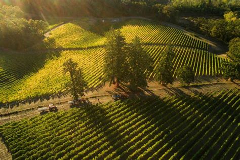 Willamette Valley Oregon