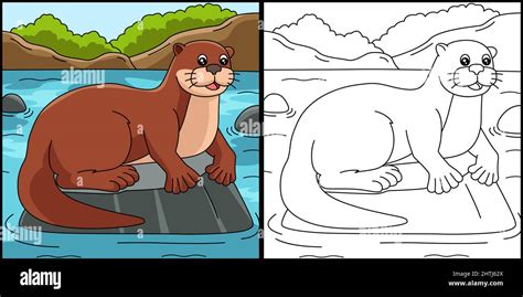 River Otter Coloring Page Colored Illustration Stock Vector Image And Art