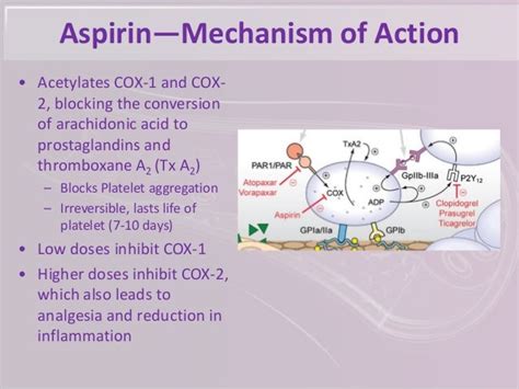 Can You Take Bactrim Ds And Augmentin Together Mechanism