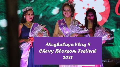 Meghalaya Shillong Cherry Blossom Festival Wards Lake Youtube