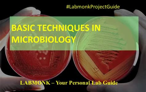 Basic Techniques Of Microbiology Labmonk
