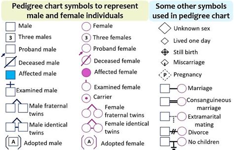 Genetic Pedigree Symbols