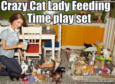 Funny Animal Images Funny Animals Funny Pictures Crazy Cat Lady