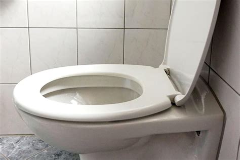 Are There Different Types Of Toilet Seats