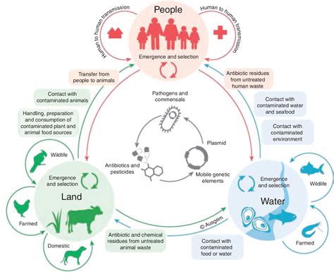 [pdf] a one health genomic approach to antimicrobial resistance is essential for generating