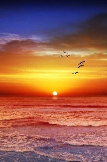 Imagenes De Atardeceres En El Mar Hermosos Amazing Sunsets Beautiful