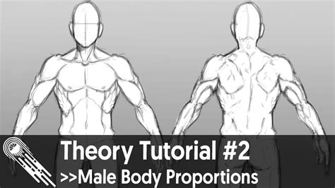 Theory Tutorial 2 Male Body Proportions YouTube