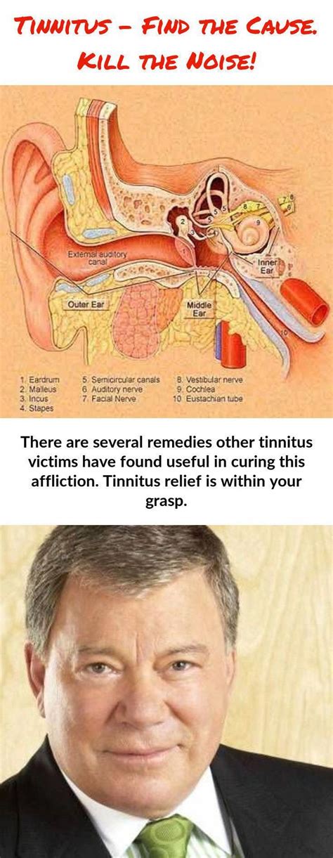 Tinnitus Is Most Notieceable When You Find Yourself On Your Own In What