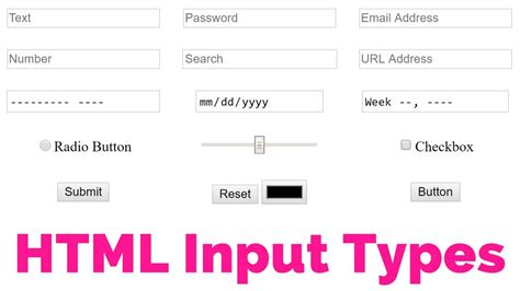 Html Input Types Codebrideplus Com