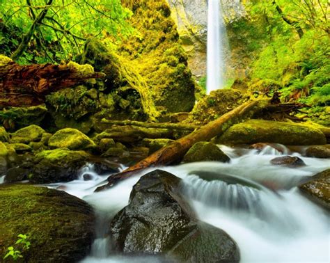 Stones Moss Waterfall River Columbia Oregon United States