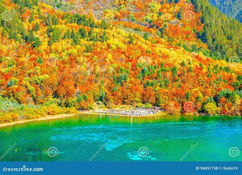 Aerial View Of Five Flower Lake At Autumn Sunrise Time Stock Photo