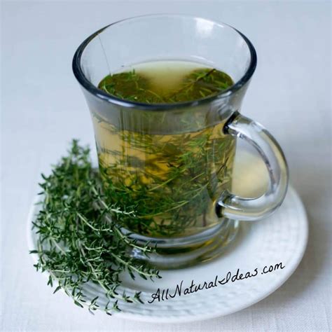 Thyme Herb Tea Benefits And How To Make All Natural Ideas