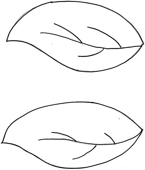Leaf Template Small Clipart Best