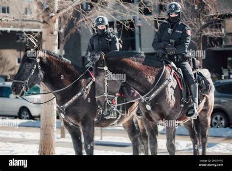 Calgary Mounted Police Unit Hi Res Stock Photography And Images Alamy