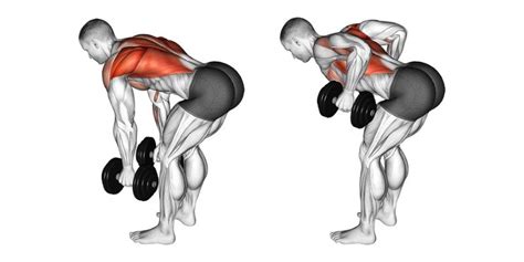 Bent Over Dumbbell Row For Back Width And Strength A Lean Life 2023