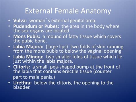 Male And Female Reproductive System Ppt Download