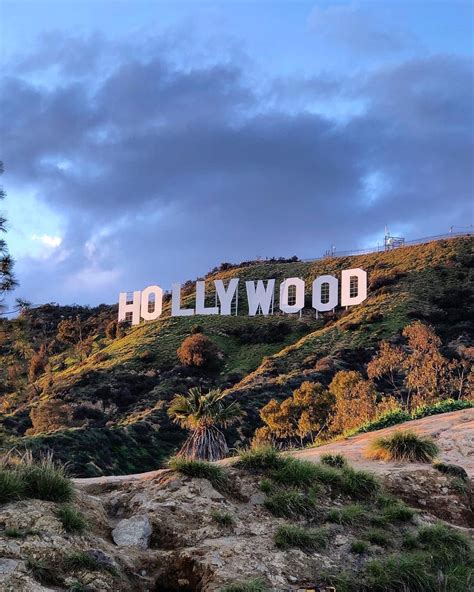 Hollywood Hills Wallpapers Top Free Hollywood Hills Backgrounds