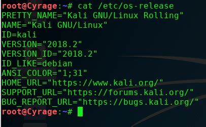 Kali linux 2021.1 includes two completely new features: How to Update Kali Linux 2019.1 using Command