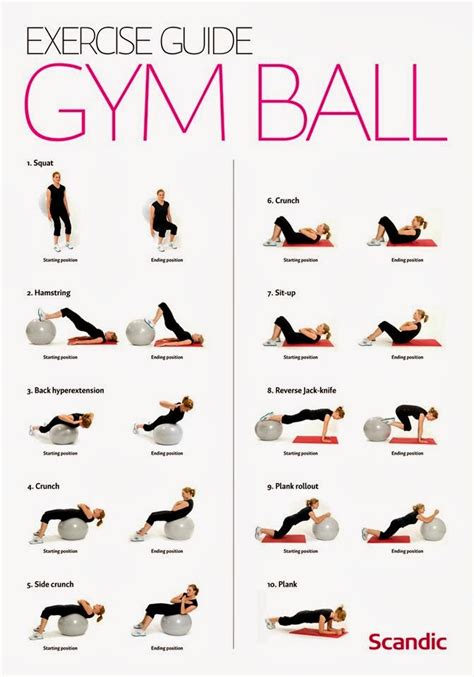 Exercise Guide Gym Ball Exercises For Women Useful Information