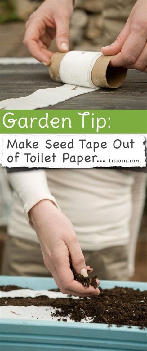 20 Insanely Clever Gardening Tips Hydroponic Gardening Hydroponics