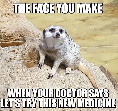Best Chronic Illness Memes