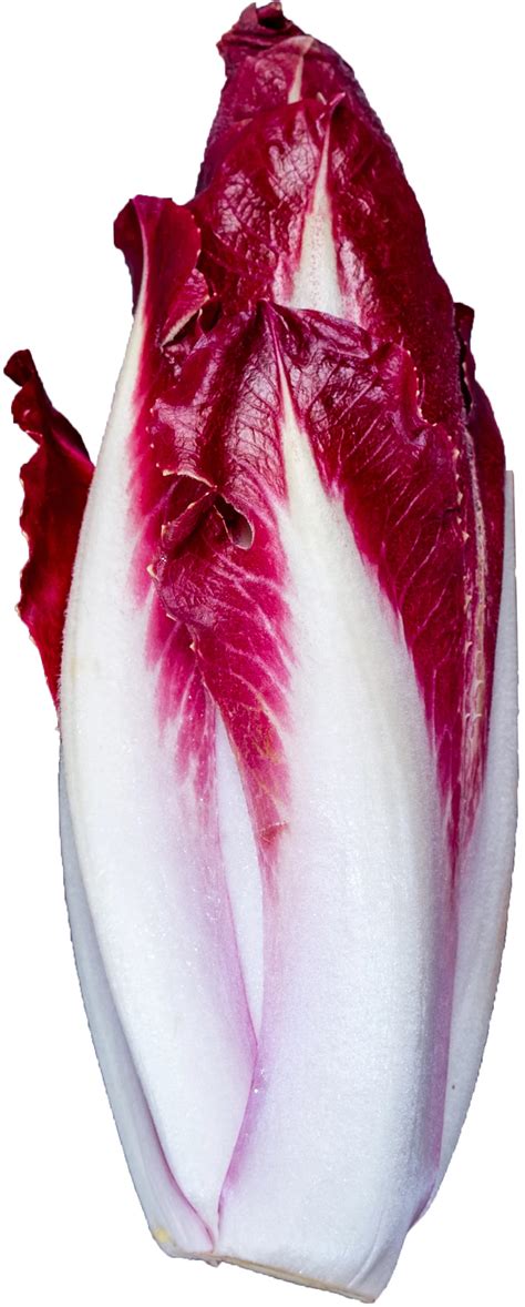 Red Belgian Endive Shop Lettuce And Leafy Greens At H E B