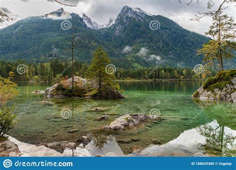 Stunning View Hintersee Lake Alps Mountain Beautiful Reflection Tree