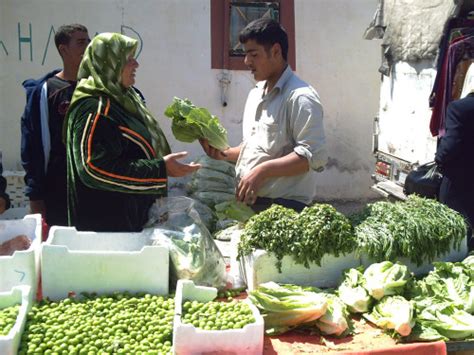 موقع القنيطرة - ""عشبة الفلاسفة" والخيار والكوسا... نموذج ...