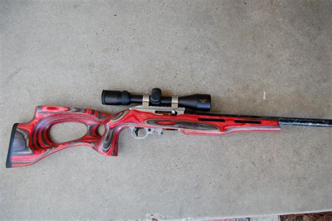 Ruger 1022 Custom Rifle Builds