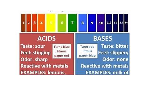 Acids and Bases Anchor Chart by Emily Hurst | Teachers Pay Teachers