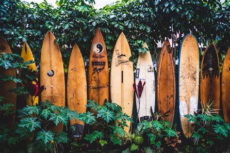 20 Cool And Unique Ts For Surfers 2024 Subscription Box Expert