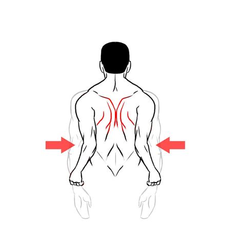 How Do I Improve My Posture Pt Helper