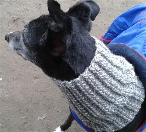 Free Pattern For A Snood For A Retired Greyhound