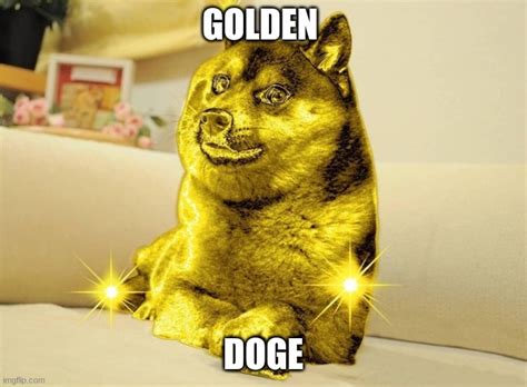 Golden Doge Imgflip