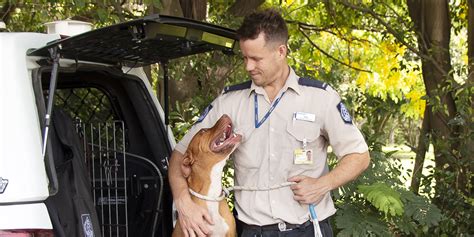 On The Road With Rspca Inspector Animal Welfare Rspca Queensland