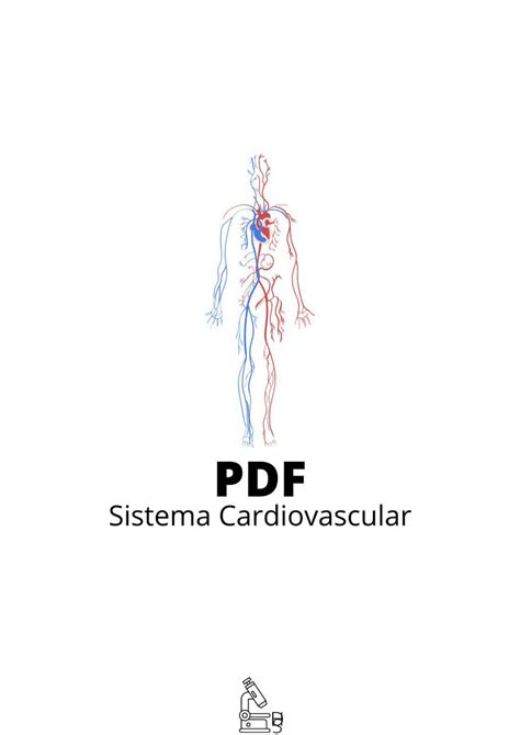 Solution Sistema Cardiovascular Pronto Para Impressão Studypool