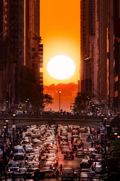 New Yorkers Stop Traffic For Photos Of This Phenomenon Every Summer