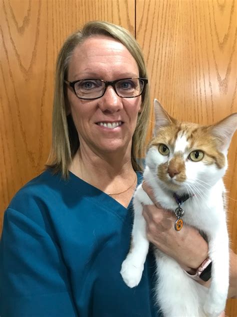 Mercy pet clinic offers the following convenient and affordable vet services. Tracy Schmidt | All Pets Medicine, Surgery and ...