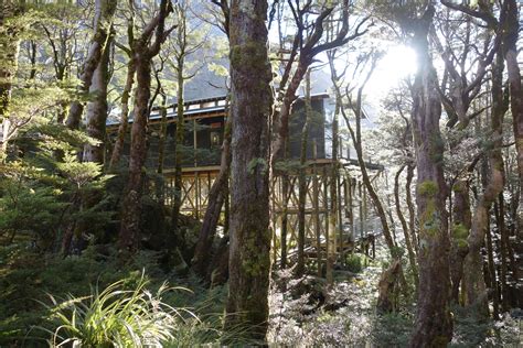 Best Of 2017 New Zealand Tramping Hiking Jontynz Tales From