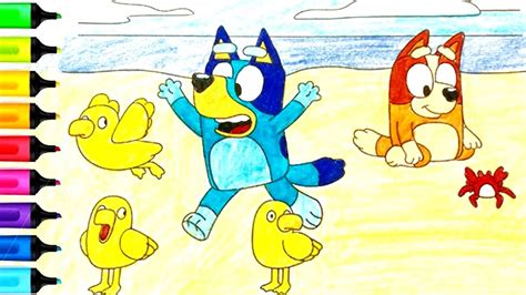 Bluey The Beach Coloring And Drawing 🏫 Learn Colors For Kids Youtube