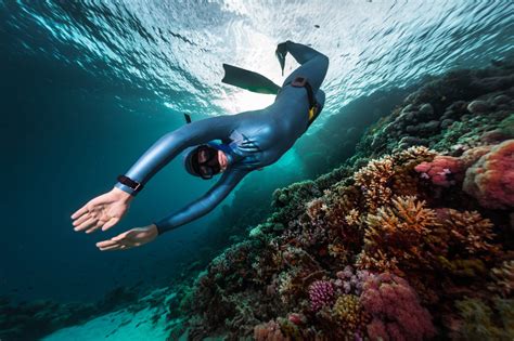 Scuba Diving Snorkeling Skin Diving Freediving Whats The
