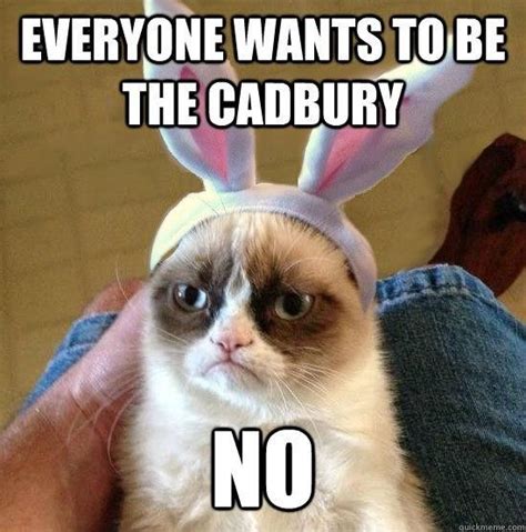 Tard The Grumpy Cat Funny Grumpy Cat Memes Grumpy Cat Grumpy Cat Humor