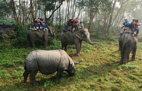 Chitwan National Park Ktm Guide